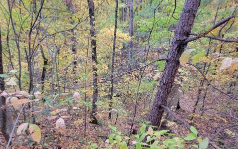 14 Ac Old Burnt Mountain Ellijay GA 30540