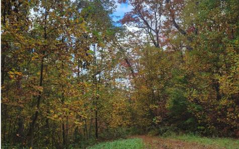 14 Ac Old Burnt Mountain Ellijay GA 30540