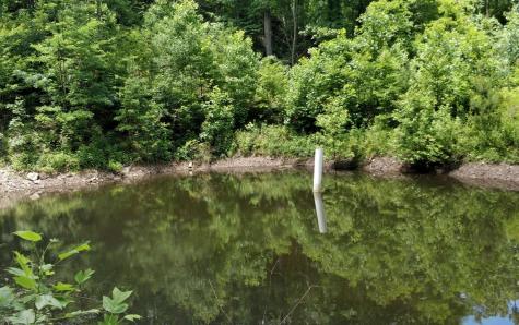 14 Ac Old Burnt Mountain Ellijay GA 30540