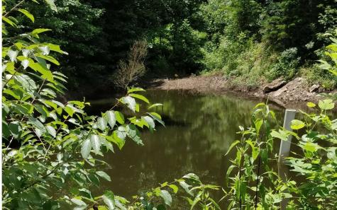 14 Ac Old Burnt Mountain Ellijay GA 30540