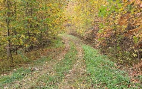 14 Ac Old Burnt Mountain Ellijay GA 30540