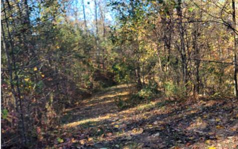 14 Ac Old Burnt Mountain Ellijay GA 30540