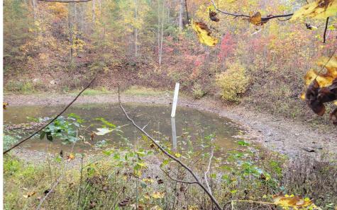 14 Ac Old Burnt Mountain Ellijay GA 30540