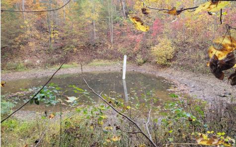 14 Ac Old Burnt Mountain Ellijay GA 30540