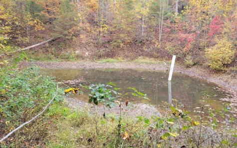 14 Ac Old Burnt Mountain Ellijay GA 30540