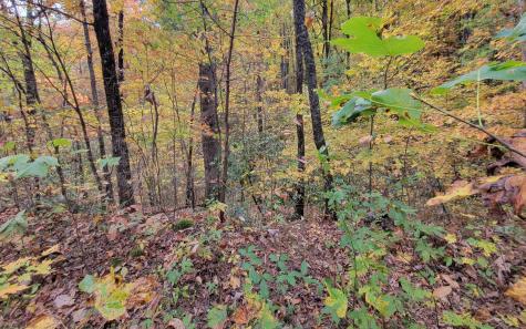 14 Ac Old Burnt Mountain Ellijay GA 30540