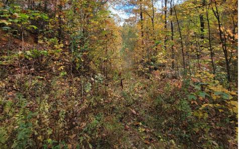 14 Ac Old Burnt Mountain Ellijay GA 30540