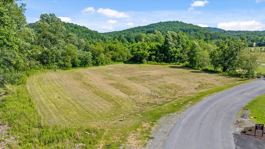 Lot 1 Ridge Drive Morganton GA 30560