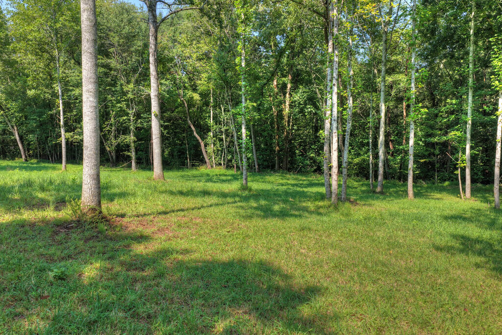 1.35 Ac Wolf Creek Road Murphy NC 28906