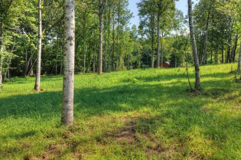 1.35 Ac Wolf Creek Road Murphy NC 28906