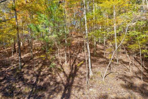 1.14 Ac Parker Way Ellijay GA 30540