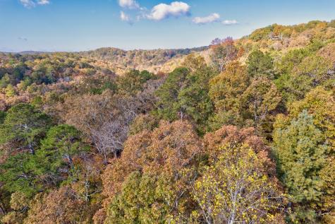 1.14 Ac Parker Way Ellijay GA 30540