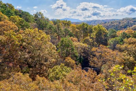 1.14 Ac Parker Way Ellijay GA 30540