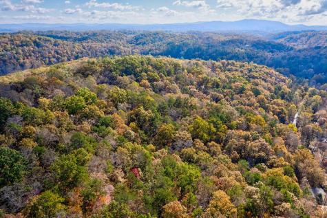 1.14 Ac Parker Way Ellijay GA 30540
