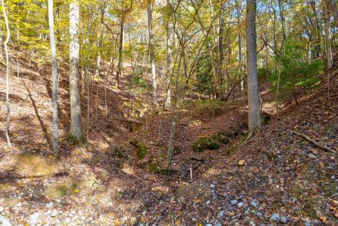 1.14 Ac Parker Way Ellijay GA 30540
