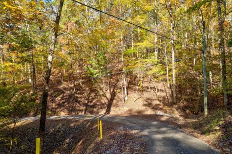 1.14 Ac Parker Way Ellijay GA 30540