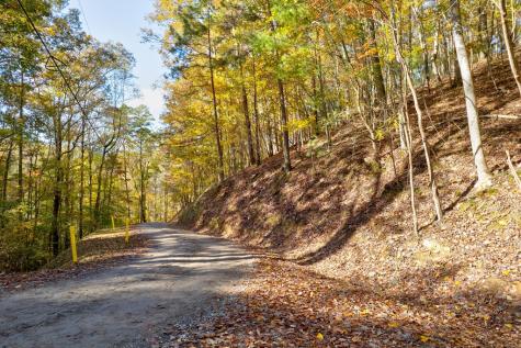 1.14 Ac Parker Way Ellijay GA 30540