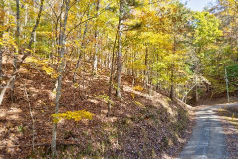 1.14 Ac Parker Way Ellijay GA 30540