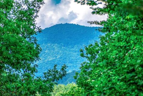 Lot 13 Shady Pine Trail Ellijay GA 30540