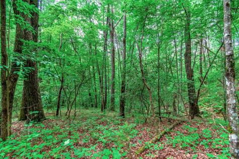 Lot 13 Shady Pine Trail Ellijay GA 30540