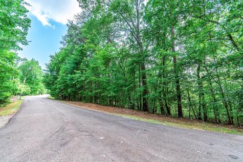 Lot 13 Shady Pine Trail Ellijay GA 30540