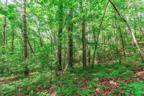 Lot 13 Shady Pine Trail Ellijay GA 30540