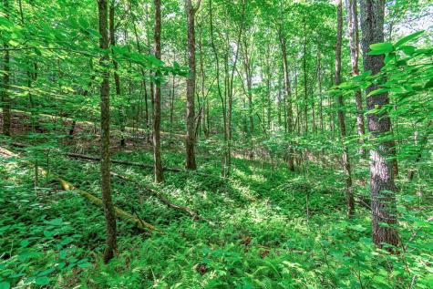 Lot 13 Shady Pine Trail Ellijay GA 30540