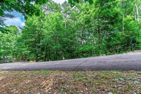 Lot 13 Shady Pine Trail Ellijay GA 30540