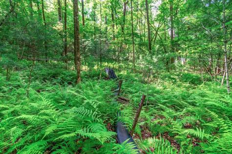 Lot 13 Shady Pine Trail Ellijay GA 30540