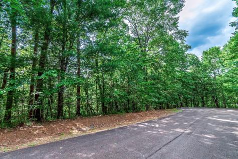 Lot 13 Shady Pine Trail Ellijay GA 30540