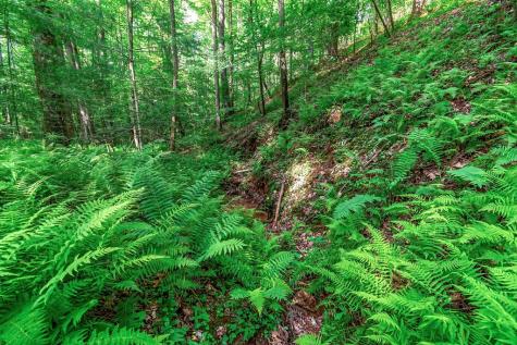 Lot 13 Shady Pine Trail Ellijay GA 30540