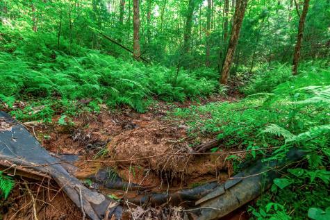 Lot 13 Shady Pine Trail Ellijay GA 30540