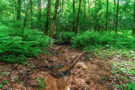 Lot 13 Shady Pine Trail Ellijay GA 30540