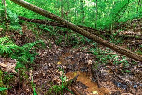 Lot 13 Shady Pine Trail Ellijay GA 30540