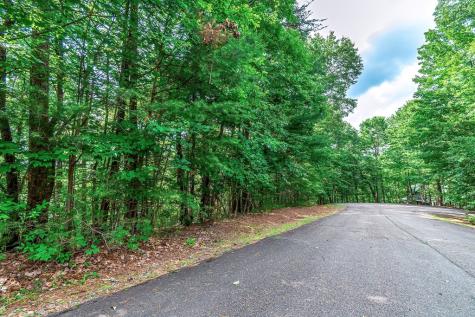 Lot 13 Shady Pine Trail Ellijay GA 30540