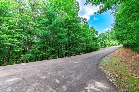 Lot 13 Shady Pine Trail Ellijay GA 30540