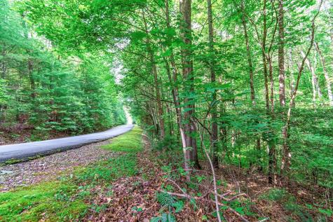Lot 13 Shady Pine Trail Ellijay GA 30540