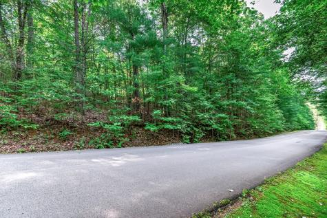 Lot 13 Shady Pine Trail Ellijay GA 30540