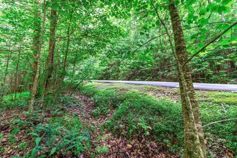 Lot 13 Shady Pine Trail Ellijay GA 30540