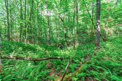 Lot 13 Shady Pine Trail Ellijay GA 30540