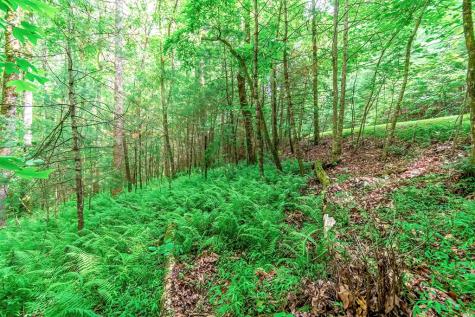 Lot 13 Shady Pine Trail Ellijay GA 30540