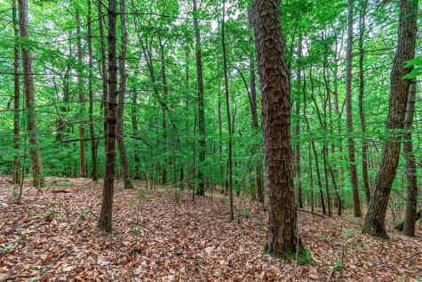 Lot 13 Shady Pine Trail Ellijay GA 30540