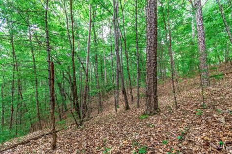 Lot 13 Shady Pine Trail Ellijay GA 30540