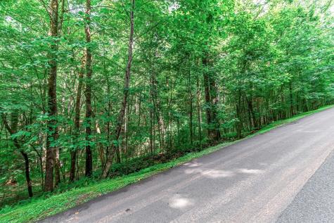 Lot 13 Shady Pine Trail Ellijay GA 30540