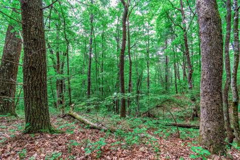Lot 13 Shady Pine Trail Ellijay GA 30540