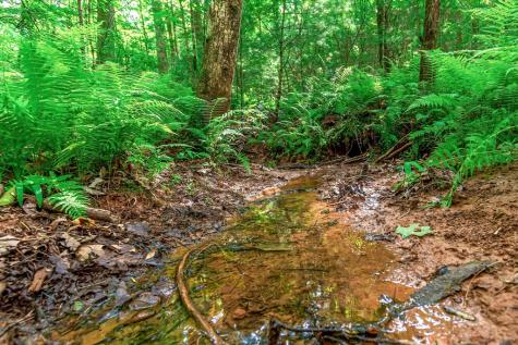 Lot 13 Shady Pine Trail Ellijay GA 30540