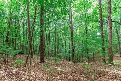 Lot 13 Shady Pine Trail Ellijay GA 30540