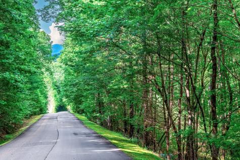 Lot 13 Shady Pine Trail Ellijay GA 30540