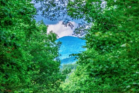 Lot 13 Shady Pine Trail Ellijay GA 30540
