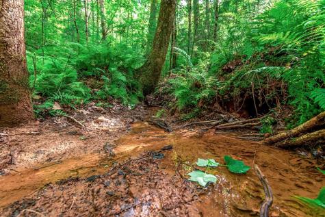 Lot 13 Shady Pine Trail Ellijay GA 30540